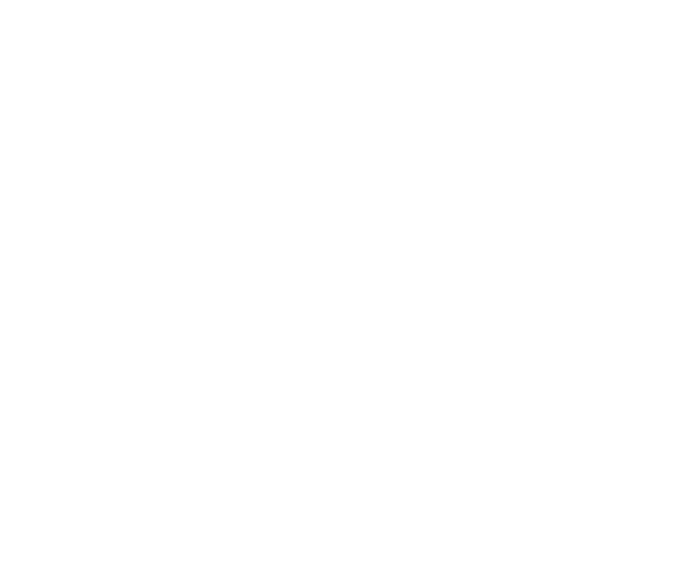 Kammerer Solutions